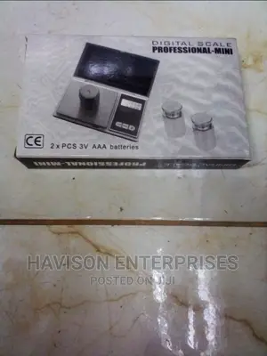 Professional Mini Scale