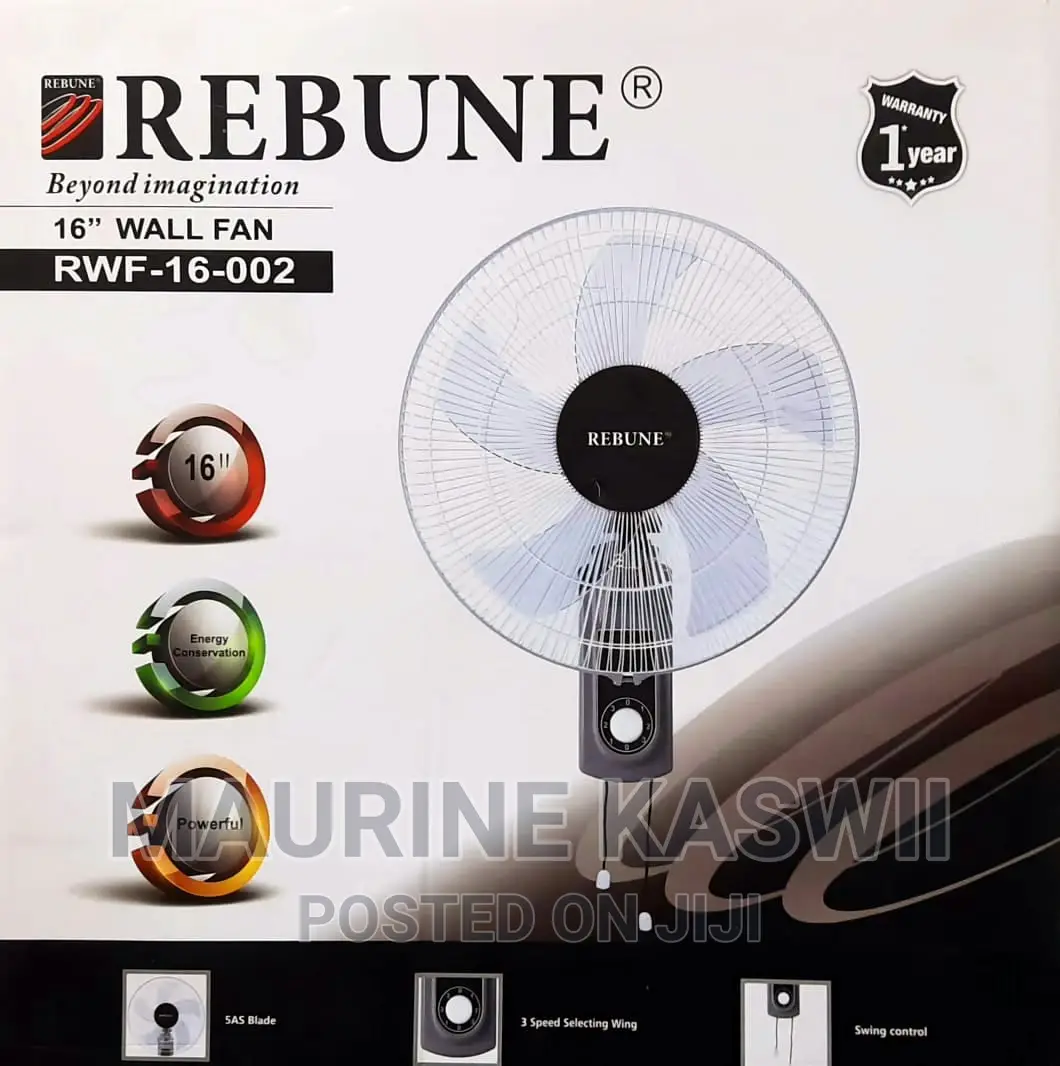 Rebune Wall Fern 16"
