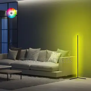Color Changing Led Corner Floor Lamp