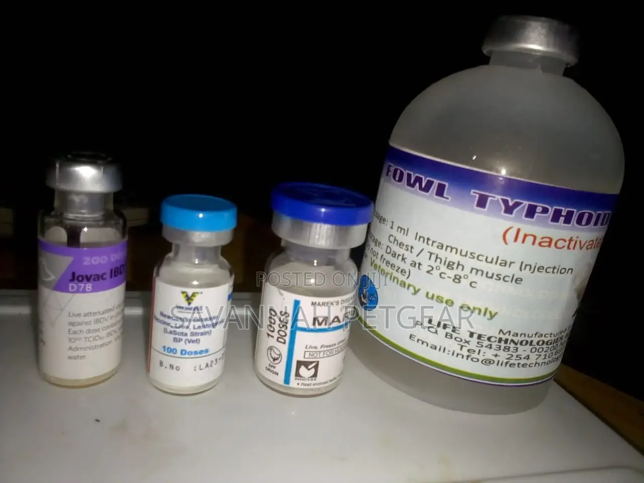 FOWL TYPHOID VACCINE - 100 Doses