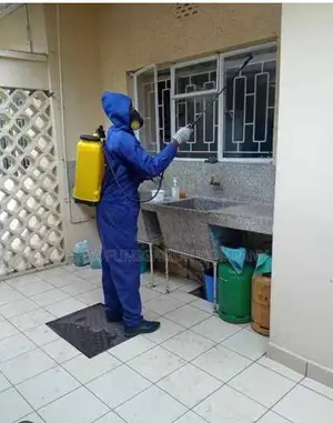 Bedbugs Fumigation