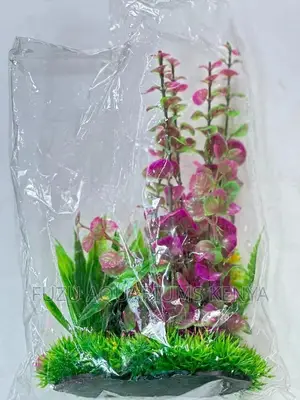 Mixed Coloured Aquarium Plant