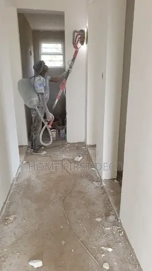 Professional Painting Services
