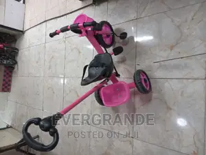 Tricycle Kids With Push Handles