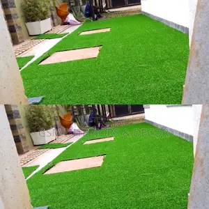 Grass Carpet Grass Carpet Grass Carpet Grass Carpet Grass