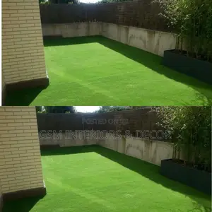 Grass Carpet Grass Carpet Grass Carpet Grass Carpet Grass