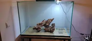 Simple 1 Accessory Aquarium