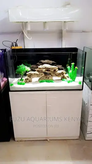 Beautifully Set Up Aquarium
