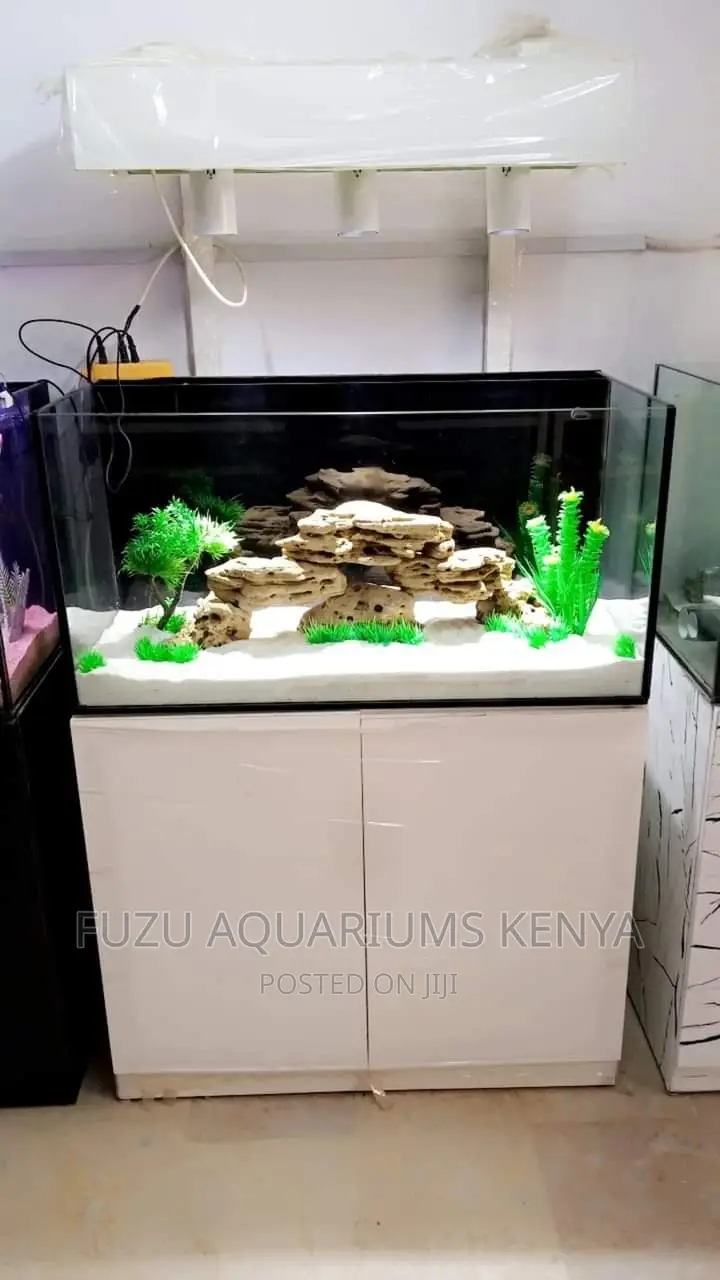 Beautifully Set Up Aquarium
