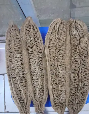 Dried Miratina Fruits Kigelia Africana Sausage Tree Fruits - Per Fruit