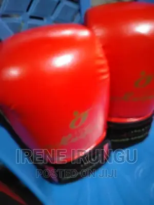 Boxing ~~Gym Gloves