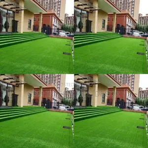 Grass Carpet Grass Carpet Grass Carpet Grass Carpet Grass
