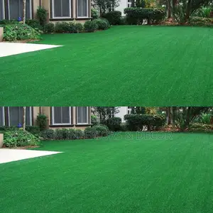 Grass Carpet Grass Carpet Grass Carpet Grass Carpet Grass