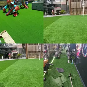 Grass Carpet Grass Carpet Grass Carpet Grass Carpet Grass