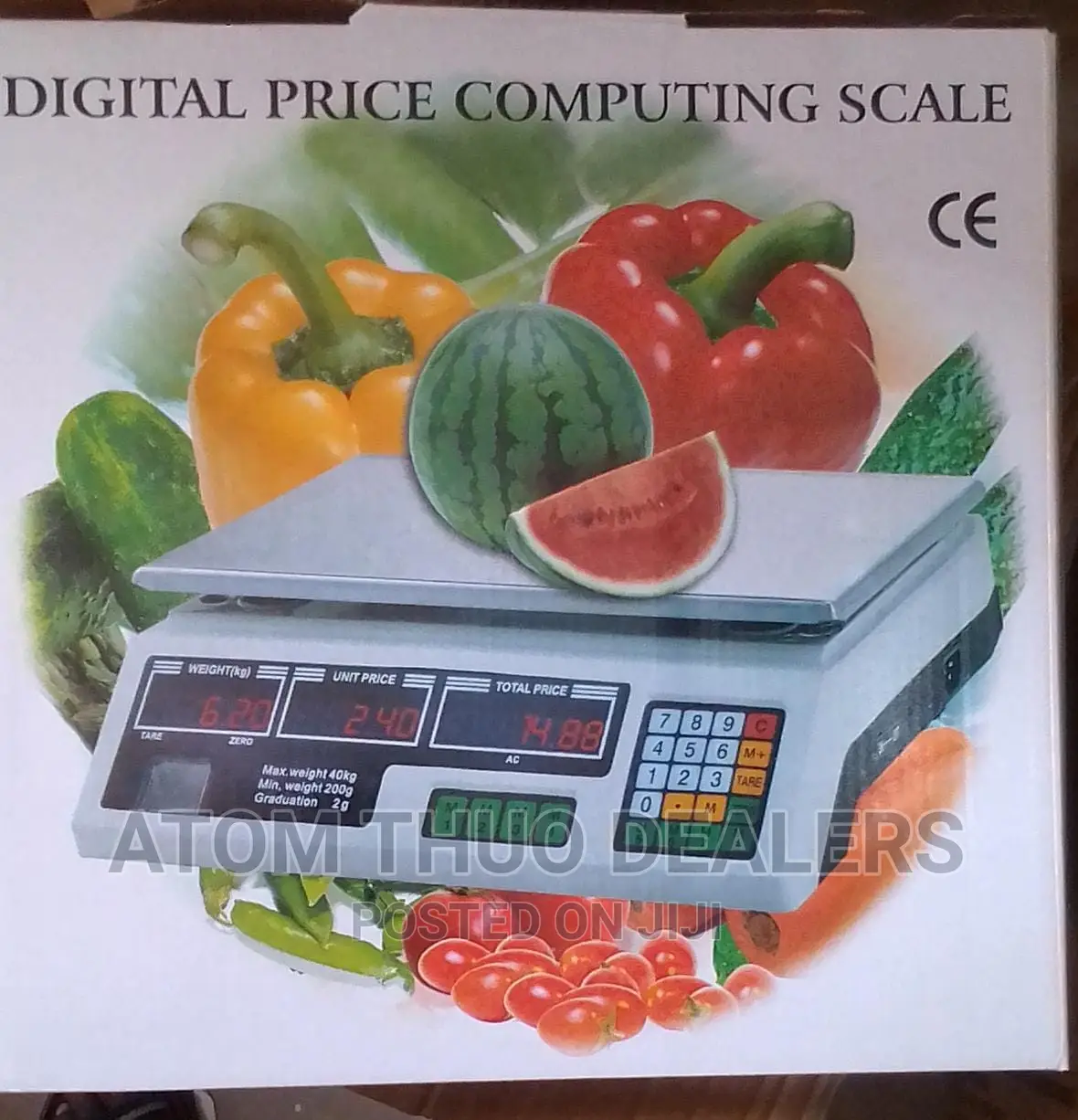 Armless Computerised Weighing Scale