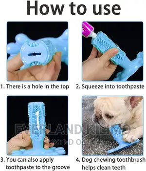 Pet Toy Bone