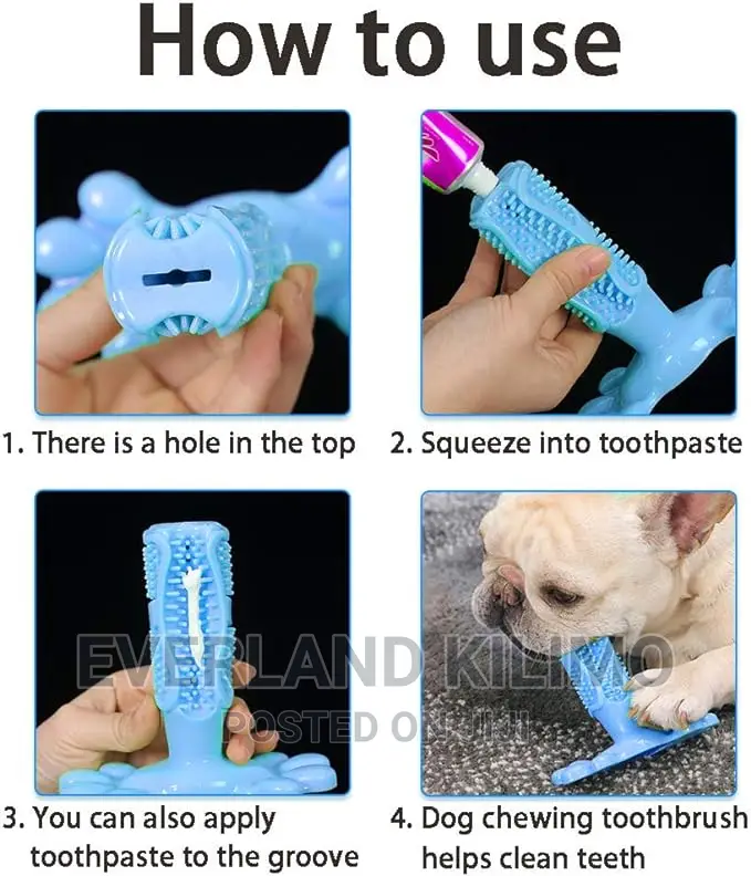 Pet Toy Bone