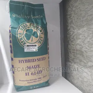 Maize Seeds H614D 2kg (Simlaw)