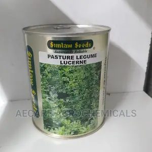 Pasture Legume Lucerne Seeds 250 Grams (Simlaw Seeds)