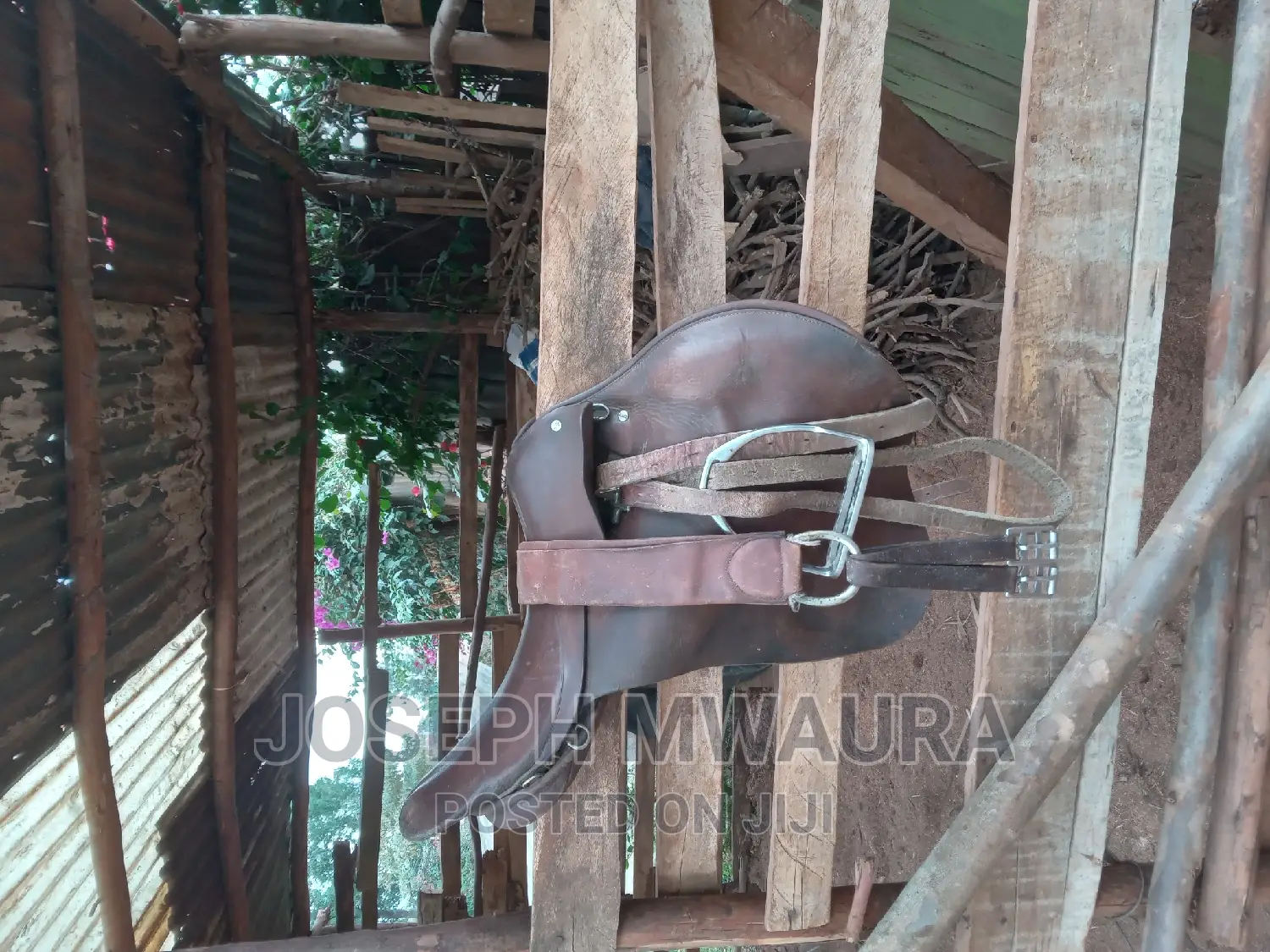 Horses Riding Equipment