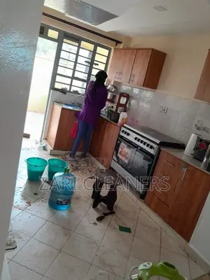 Kitchen Disnifection and Cleaning, Cockroaches Removal