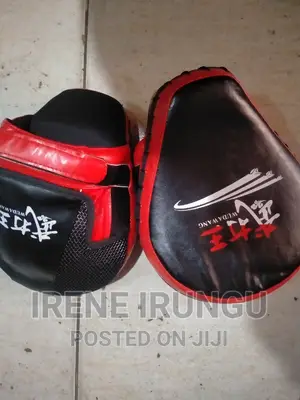 A Pair of Quality Boxing Pads