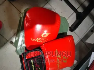 Gym Gloves , a Pair of Boxing Gloves