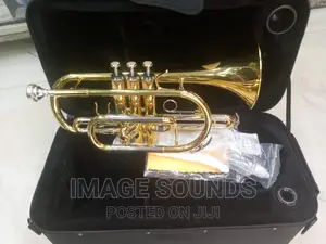 Cornet Brass Instrument- Suzuki