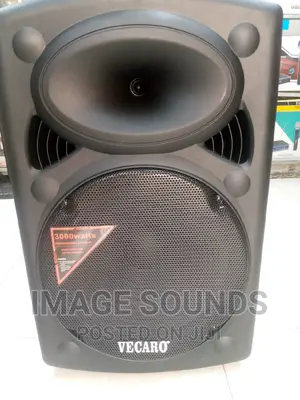 Powered Speaker 15inch With 2 Wireless Microphones