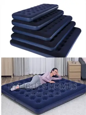 Intex Inflatable Mattress*
