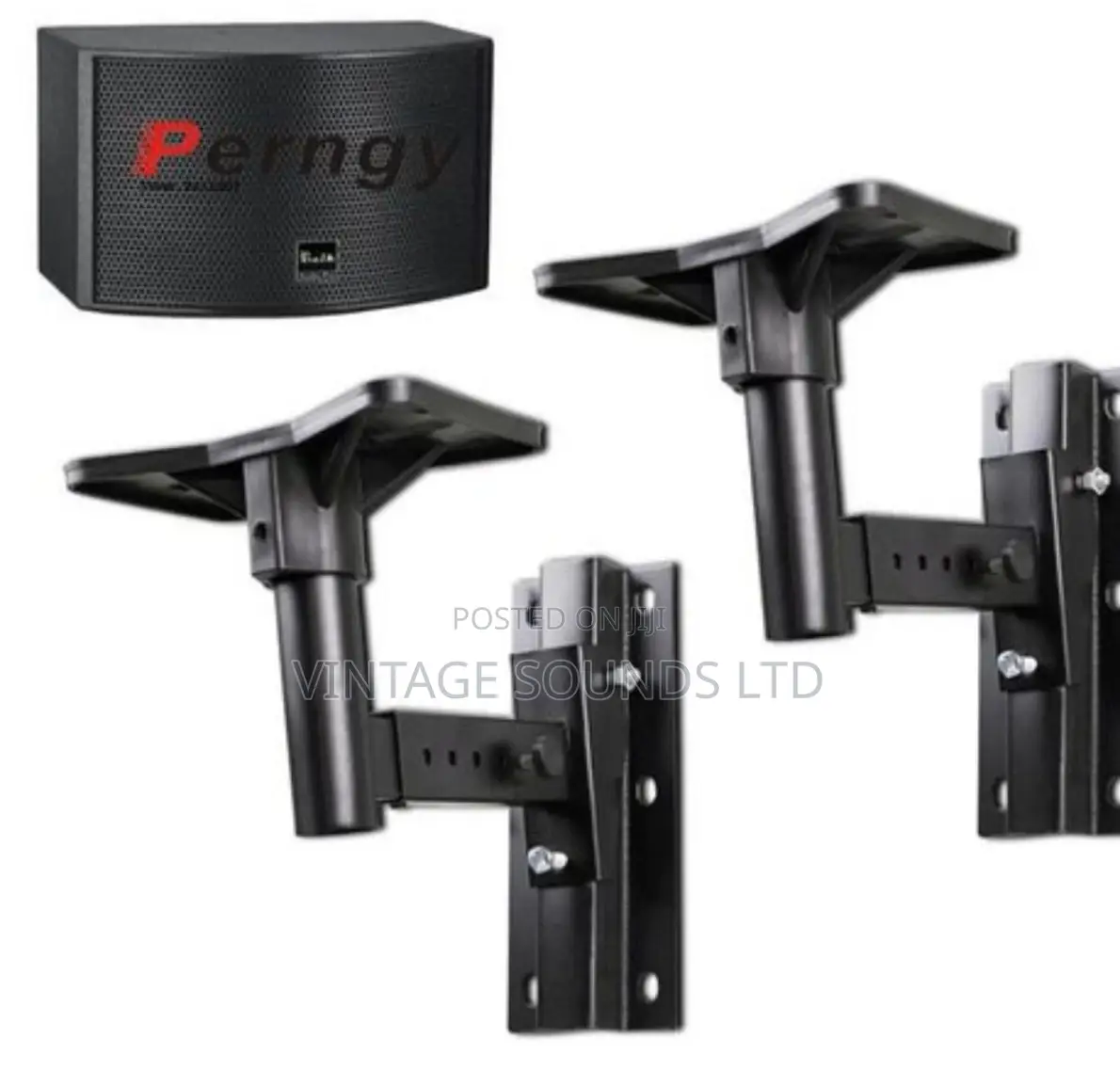 One Pair Heavy Duty Speaker Bracket Mount Surround