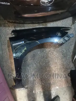 Auris New Model Fender