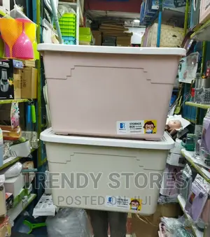Organizing Storage Boxes/Bucket