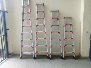 Aluminium Twin Sided Multiple a Types Step Ladder