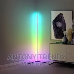 Smart Corner Floor Lamp