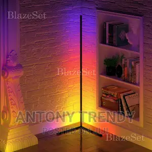 RGB Colour Changing Atmosphere Standing Lamp