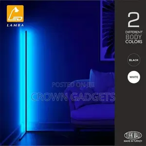 Smart Corner Floor Lamp