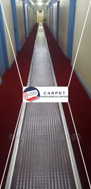 Executive Protector for Carpets