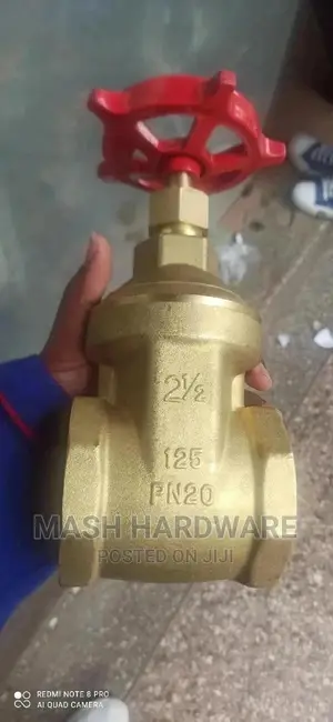 2.5" Pegler Gate Valve