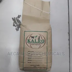 Yellow Beans Seeds 2kg (Kalro) KAT B1