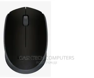 Logitech Wireless Mouse M171 - Black
