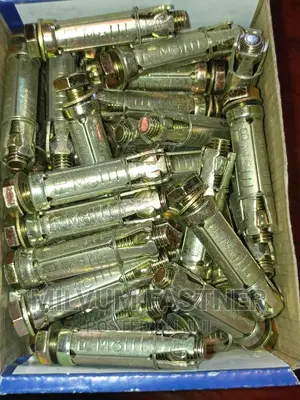 Rawl Bolts 8mmx60