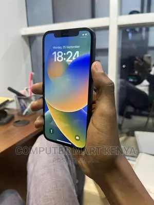 Apple iPhone 12 128 GB Gray