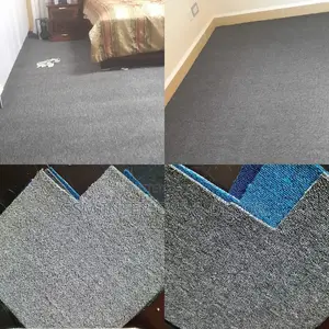 Gray Carpet Gray Carpet Gray Carpet Gray Carpet Gray Carpet