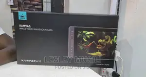 Huion KAMVAS Pro 12 Drawing Tablet