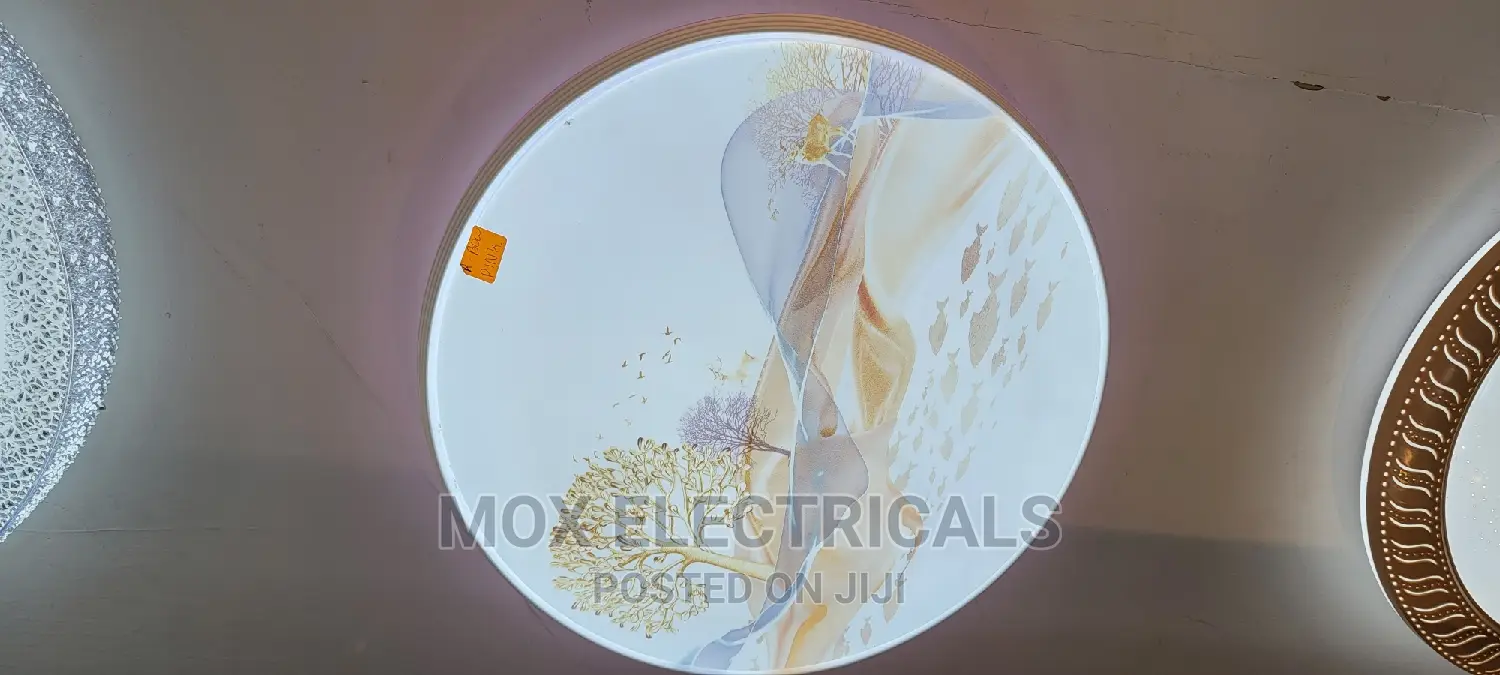 Led Ceiling Light