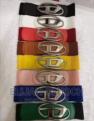 Fancy Ladies Belt