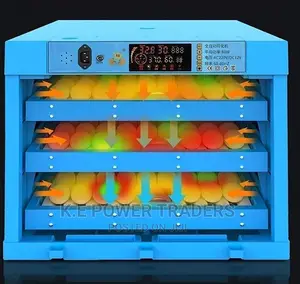 Fully Automatic Turning 192 Egg Incubator
