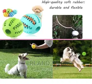 Dog Ball for Treats