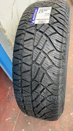 255/65r17 Michelin Tyre